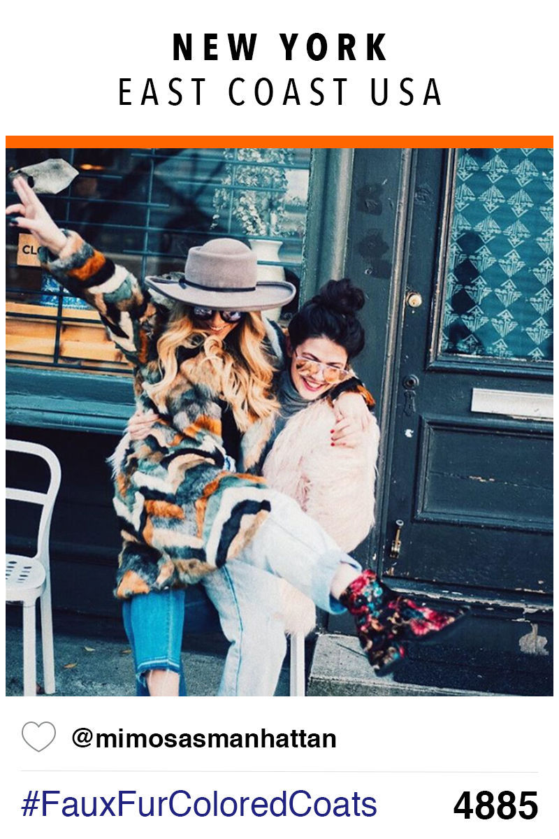 USA – East Coast: faux fur colored coats